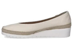 Ballerina VERBENAS