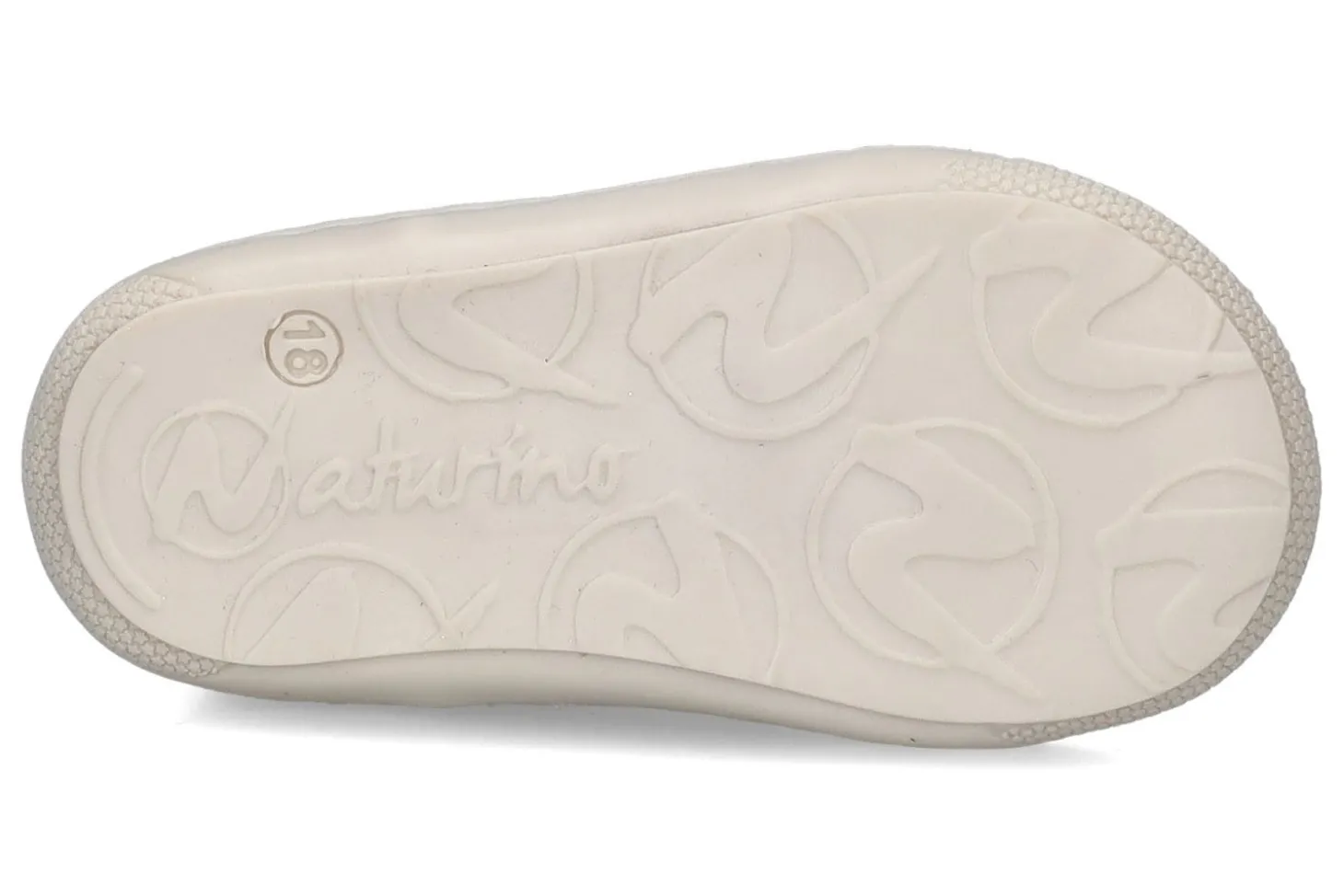 Gesloten eerste stapjes NATURINO