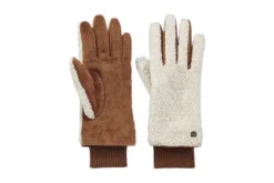 Handschoenen BARTS