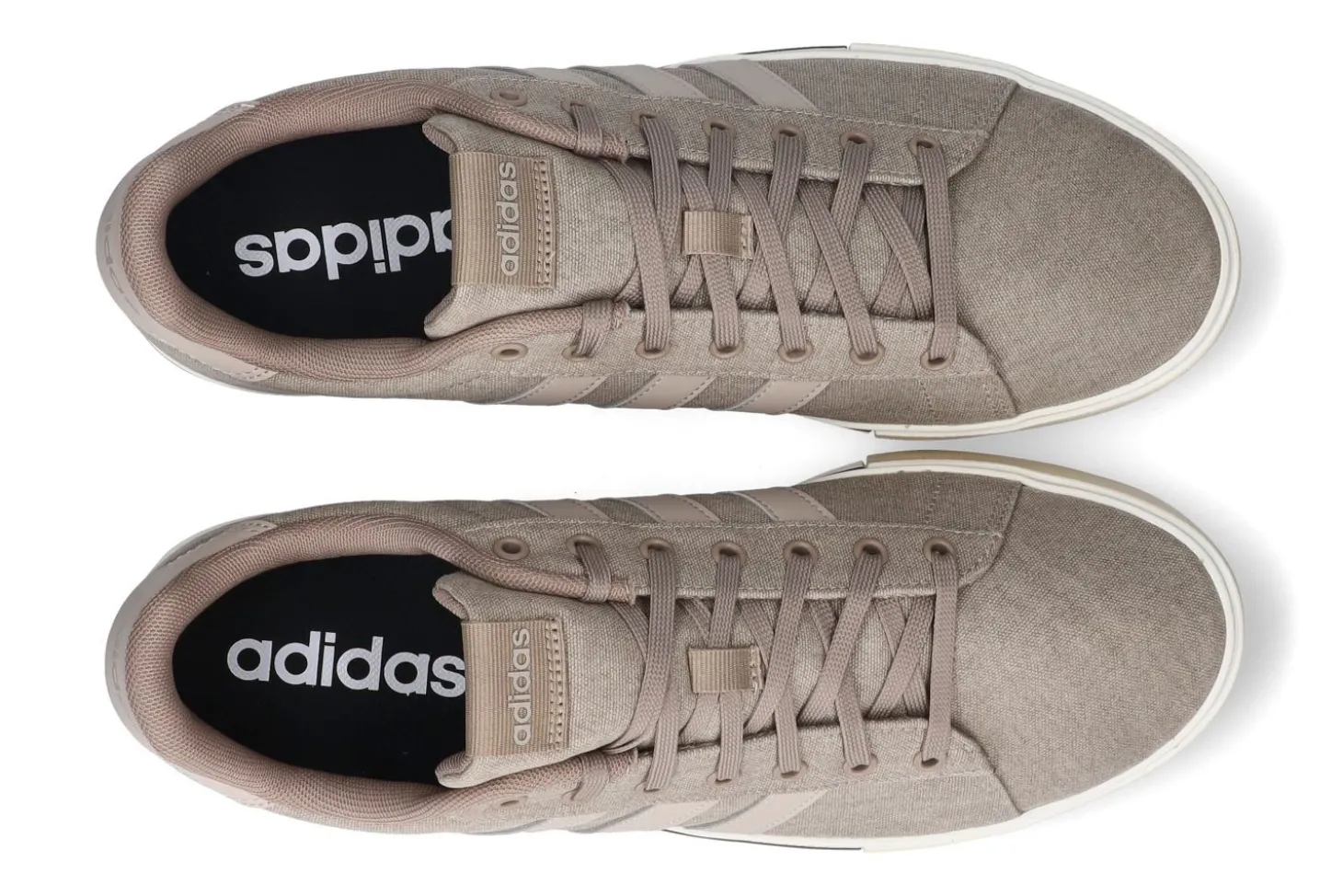 Lage sneakers Adidas Daily