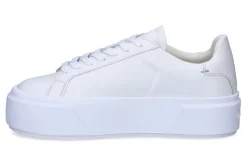 Lage sneakers CALVIN KLEIN JEANS