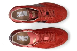 Lage sneakers CAVAL