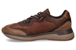 Lage sneakers CETTI