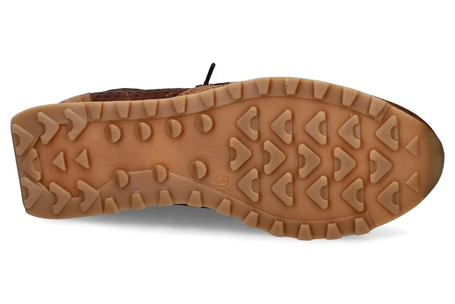 Lage sneakers CETTI