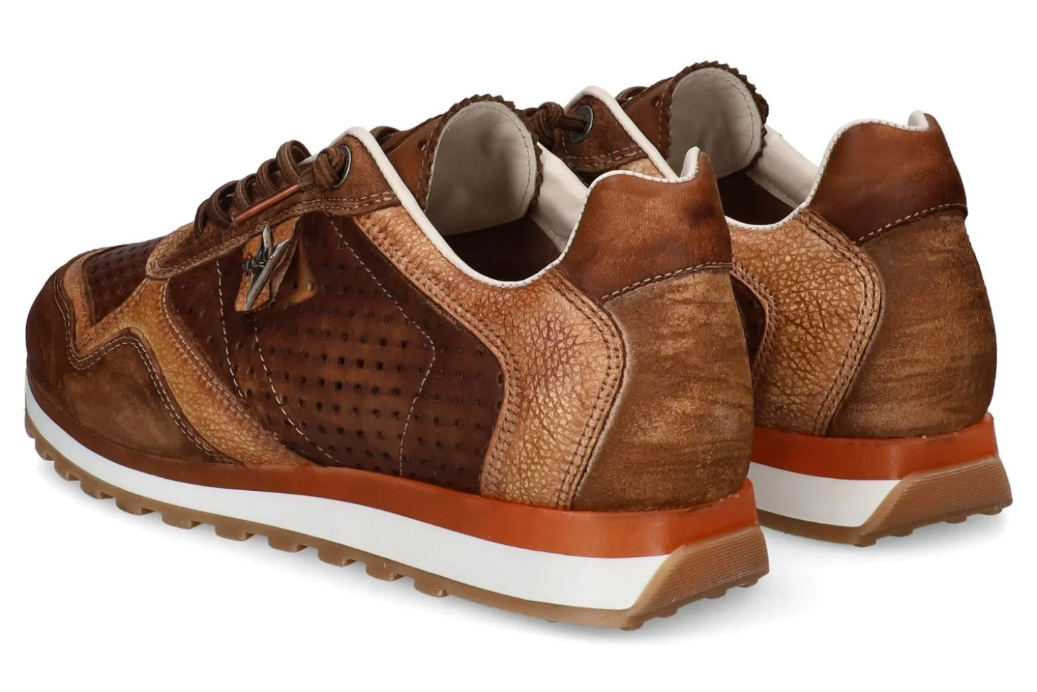Lage sneakers CETTI