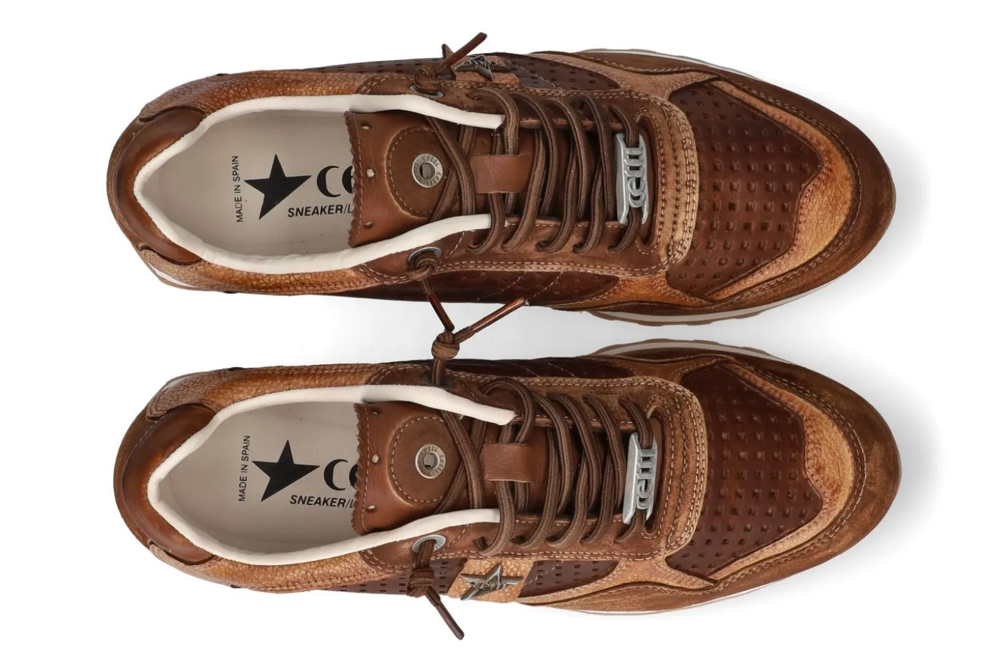 Lage sneakers CETTI