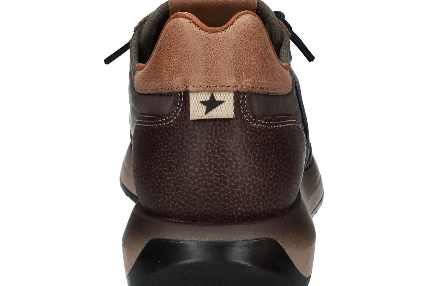 Lage sneakers CETTI