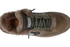 Lage sneakers CETTI