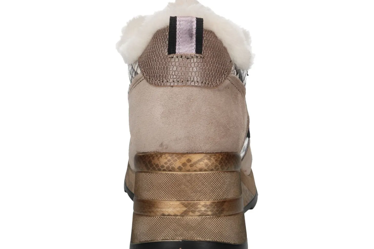 Lage sneakers CETTI