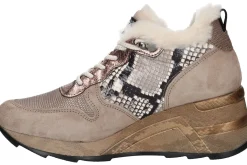 Lage sneakers CETTI