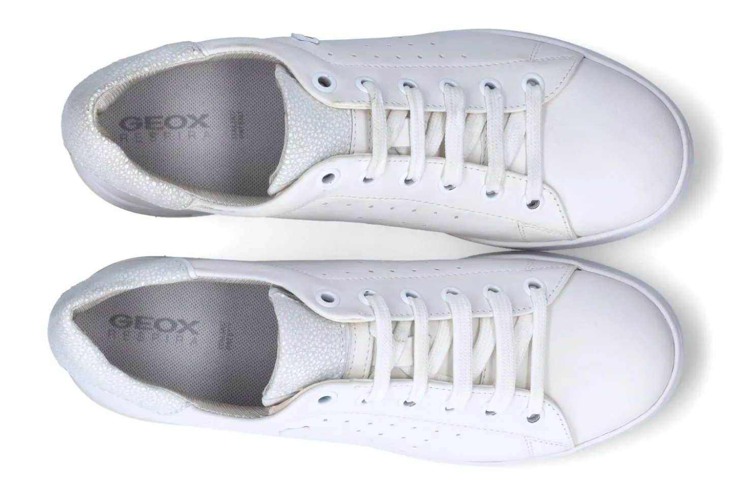 Lage sneakers GEOX