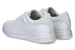 Lage sneakers GEOX