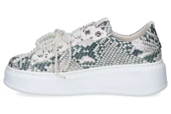 Lage sneakers GIO +