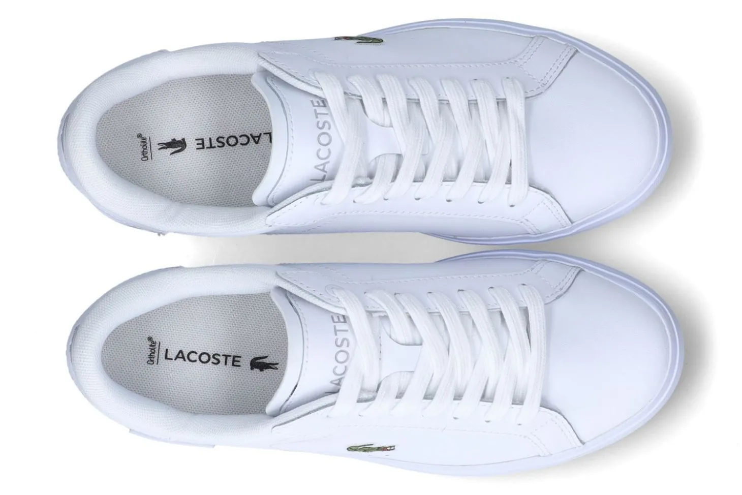 Lage sneakers LACOSTE