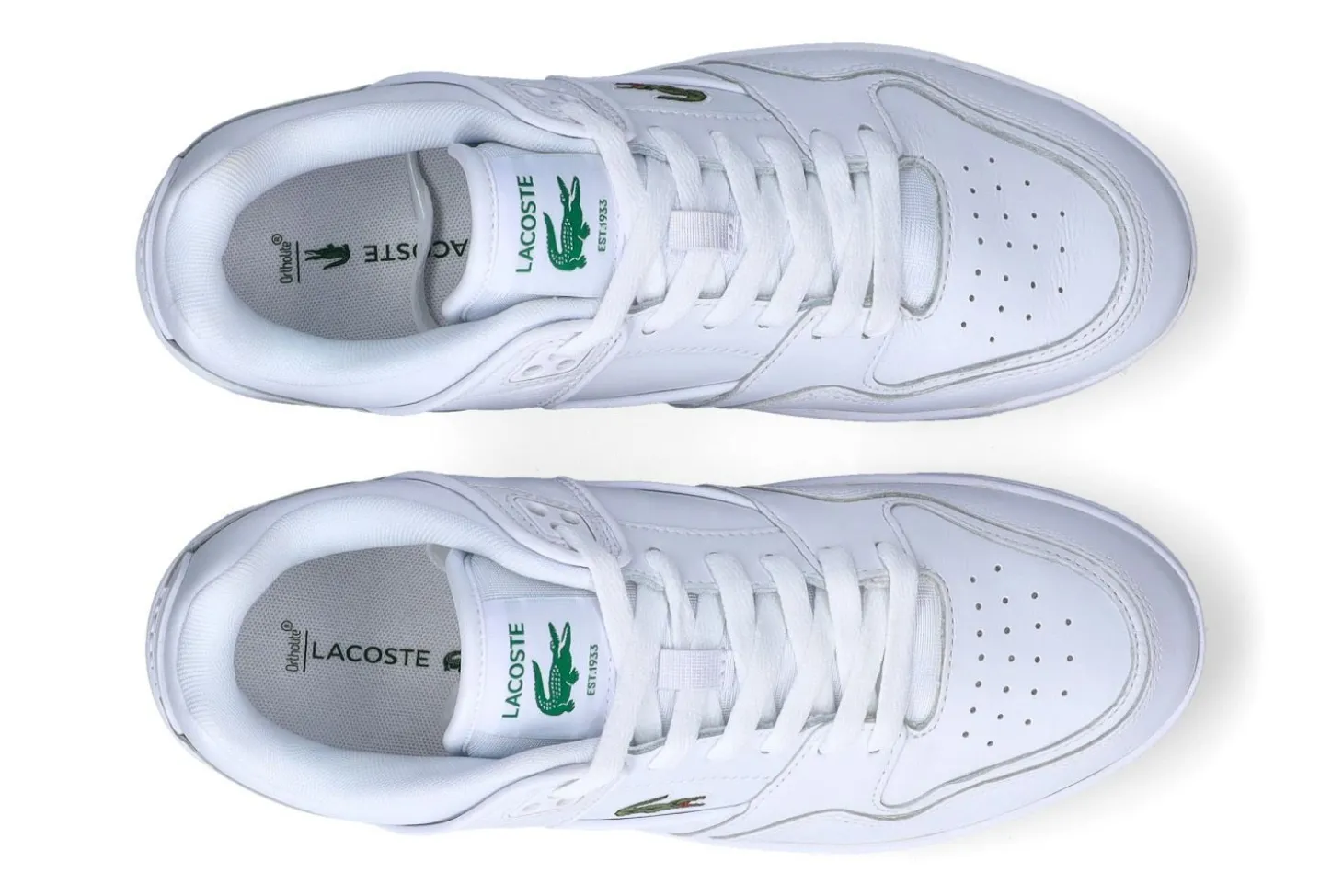 Lage sneakers LACOSTE