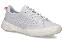 Lage sneakers PALLADIUM