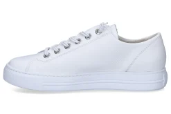 Lage sneakers PAUL GREEN