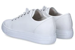 Lage sneakers PAUL GREEN
