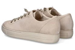 Lage sneakers PAUL GREEN