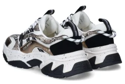 Lage sneakers STEVE MADDEN