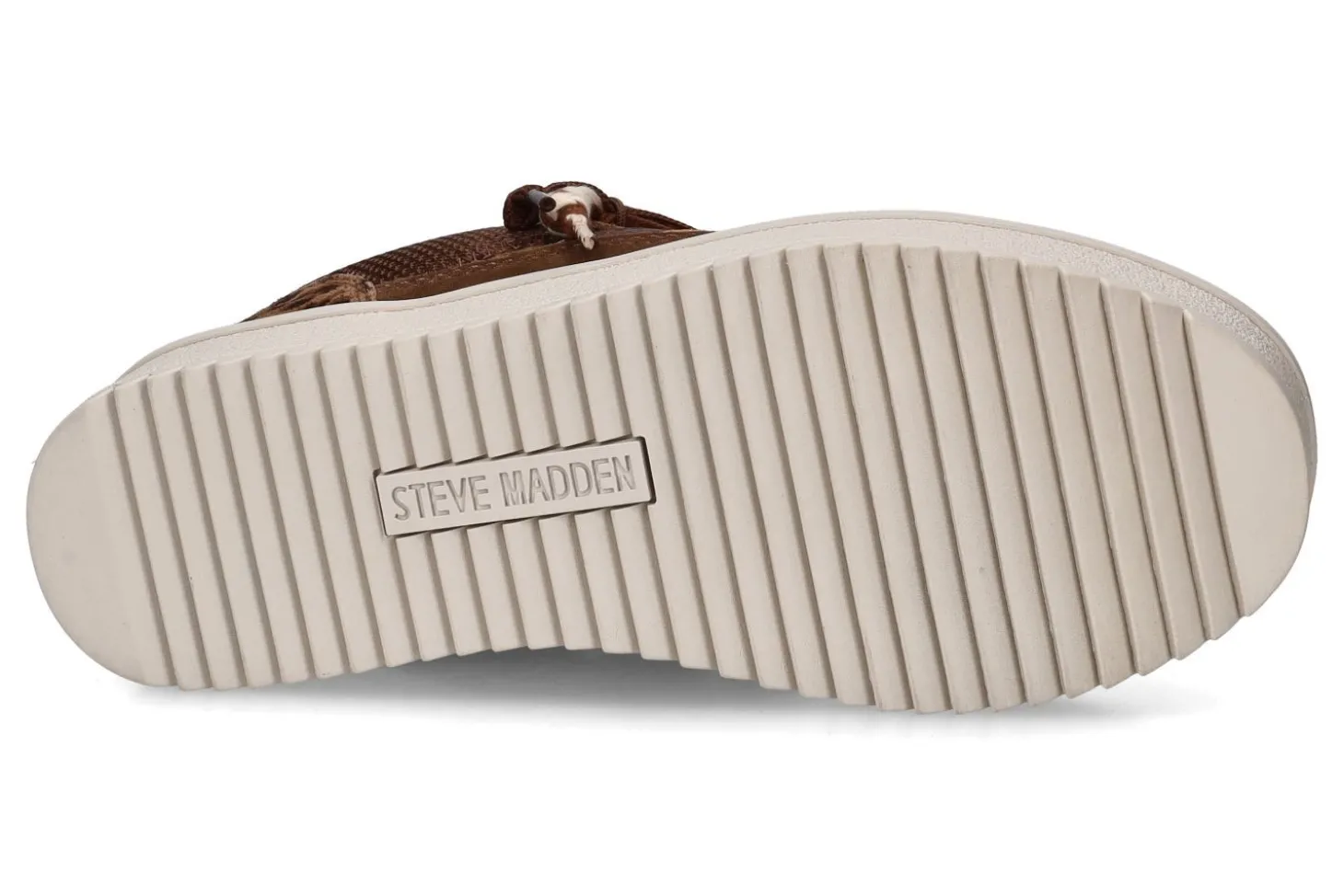 Lage sneakers STEVE MADDEN
