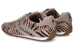 Lage sneakers STEVE MADDEN