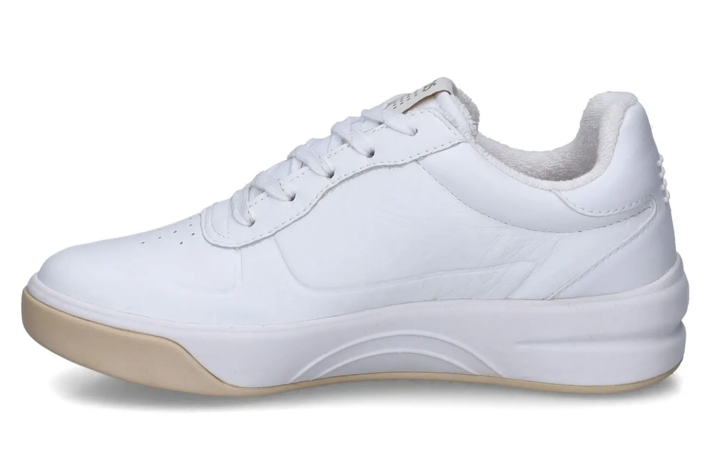 Lage sneakers TBS