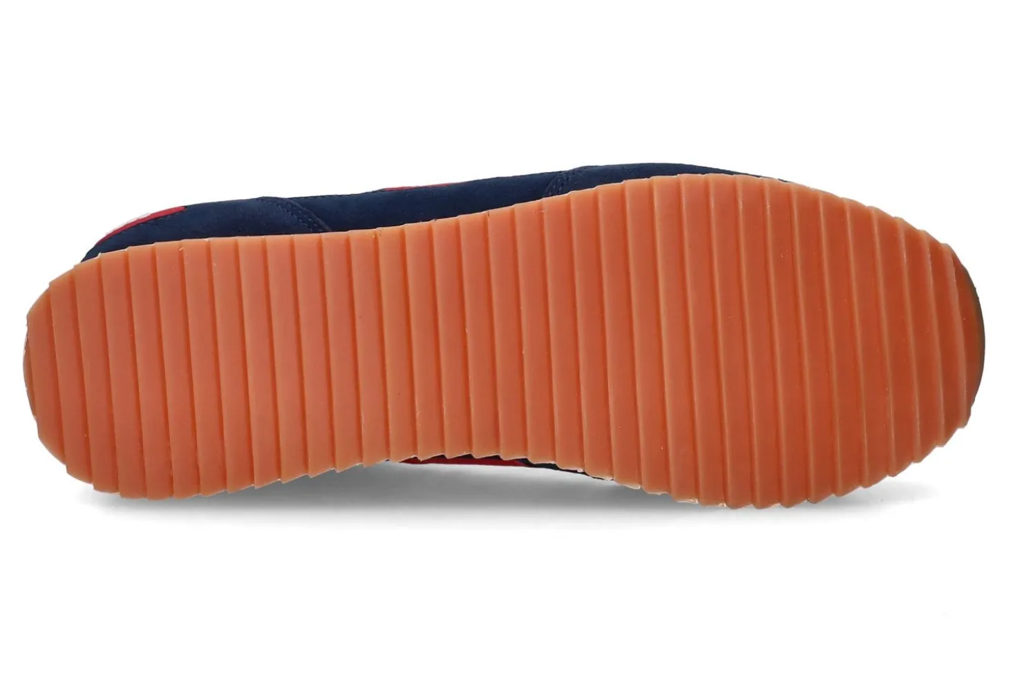 Lage sneakers TEDDY SMITH