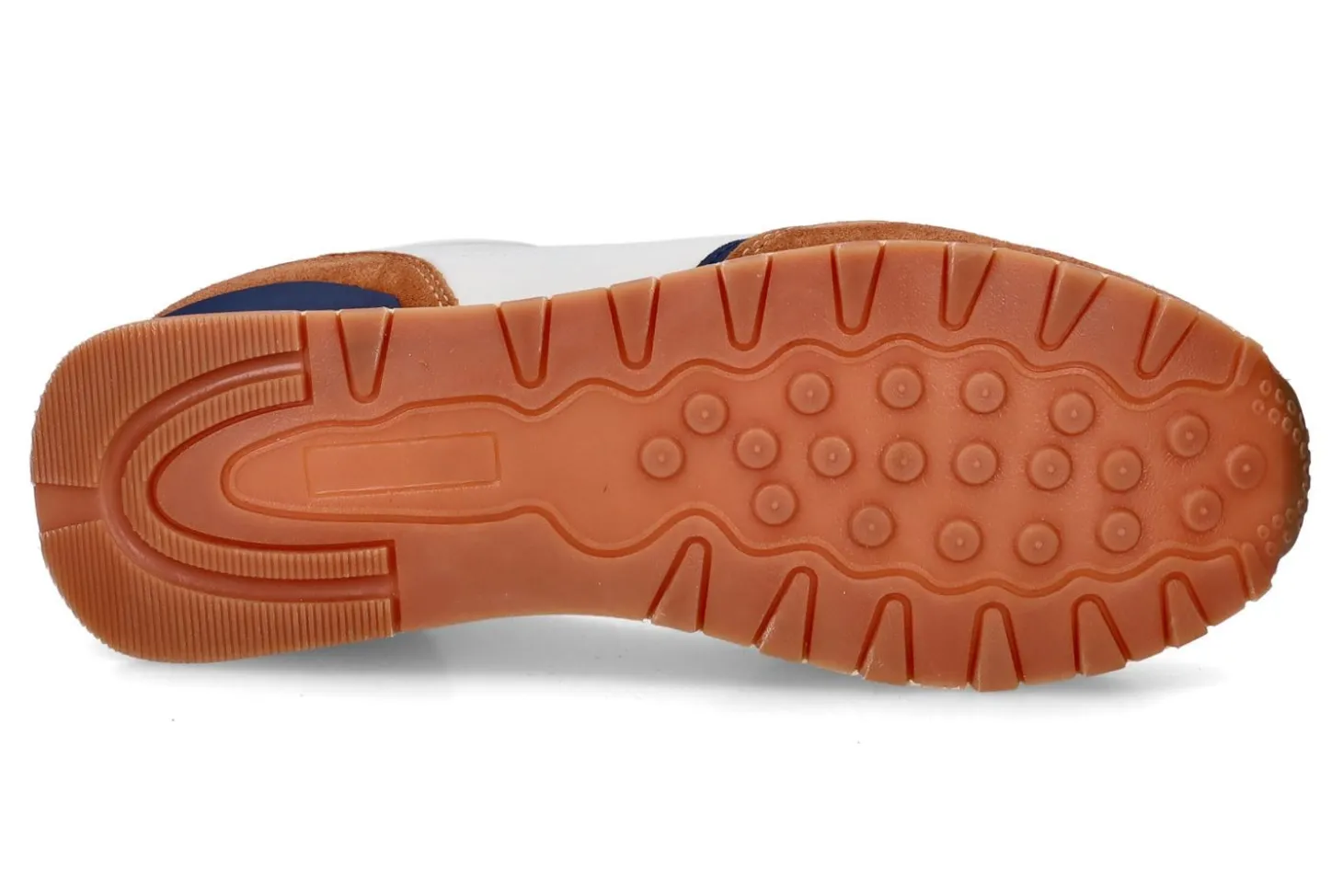 Lage sneakers TEDDY SMITH