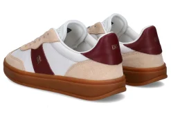 Lage sneakers TOMMY HILFIGER