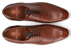 Molières / derbyschoenen AMBIORIX