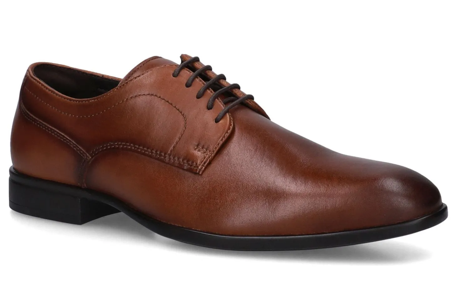 Molières / derbyschoenen GEOX