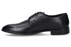 Molières / derbyschoenen GEOX