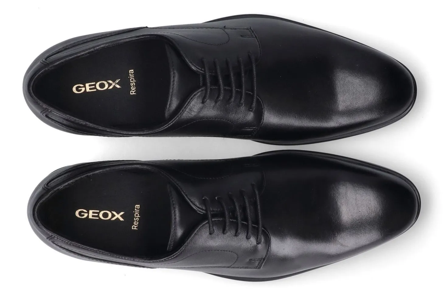 Molières / derbyschoenen GEOX