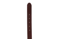 Riemen PETROL INDUSTRIES HOMME