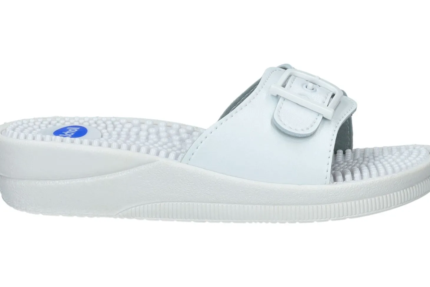 Slippers SCHOLL