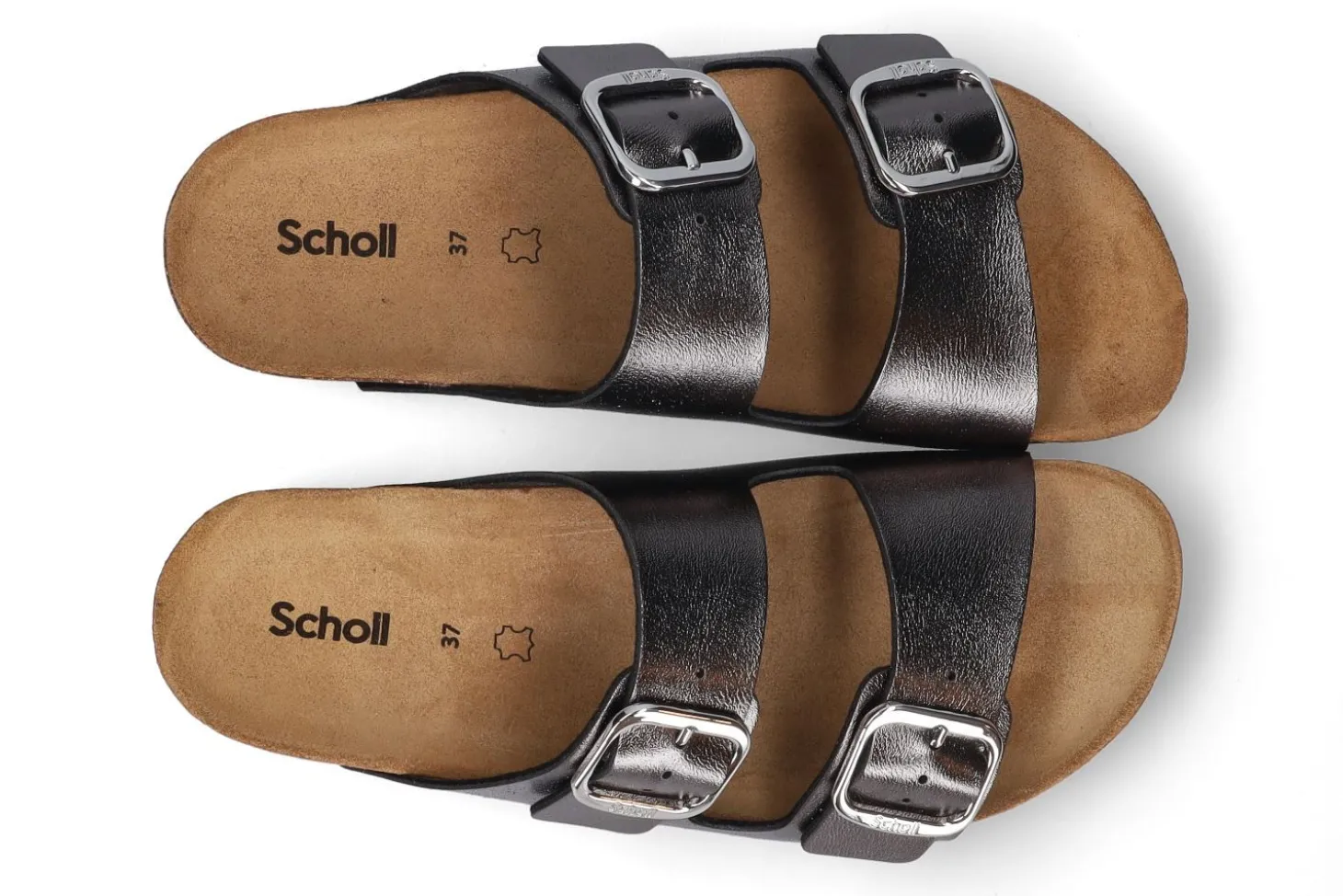 Slippers SCHOLL