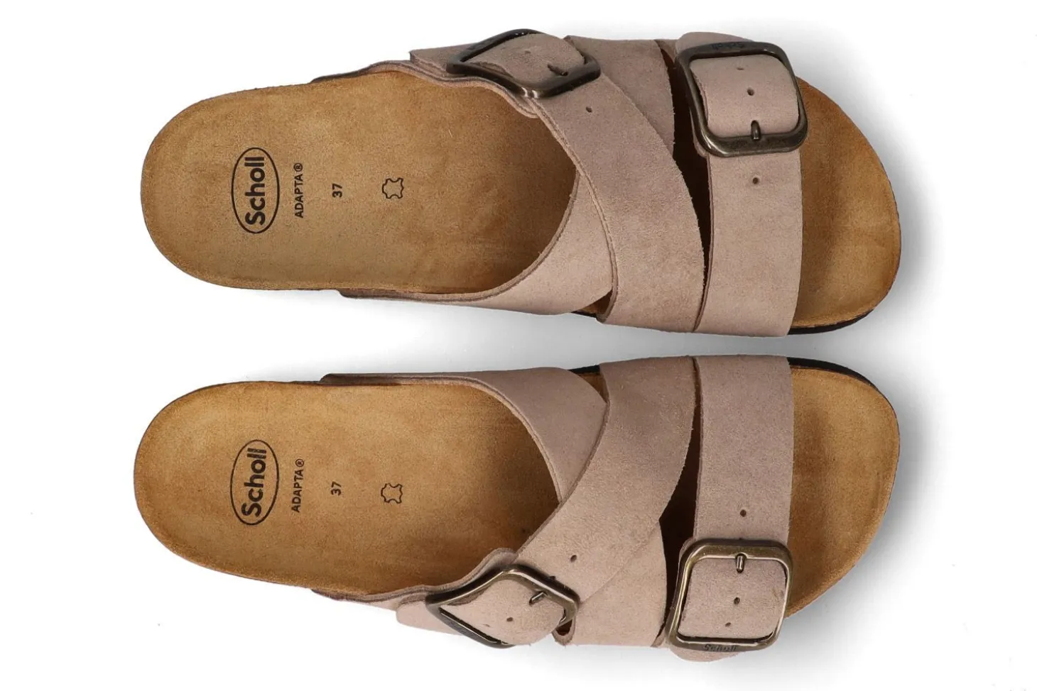 Slippers SCHOLL