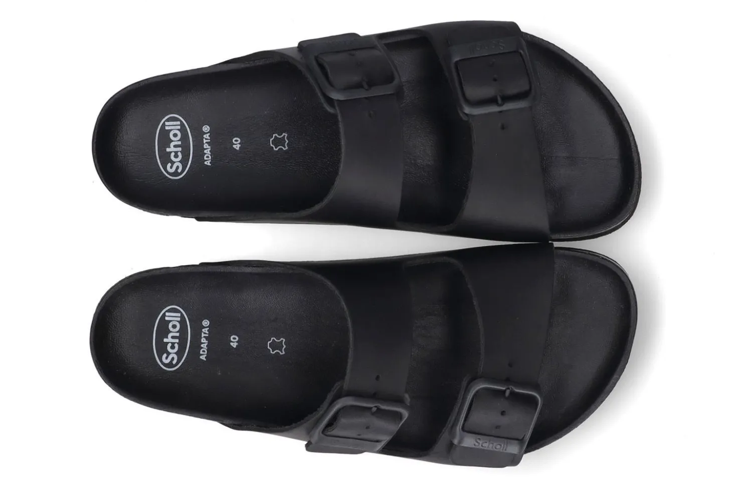 Slippers SCHOLL