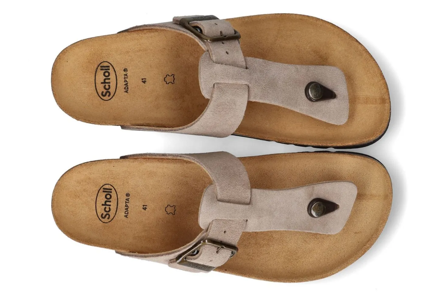 Slippers SCHOLL
