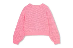 Sweaters BILLIE BLUSH