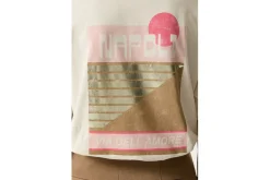 Tops & T-shirts GARCIA DAME