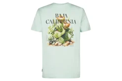 T-shirt PETROL INDUSTRIES HOMME